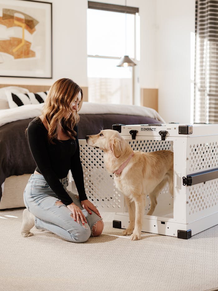 Young woman and golden retriever enjoying time together in a stylish bedroom.